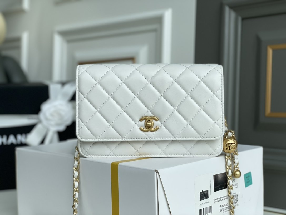 Chanel WOC Bags